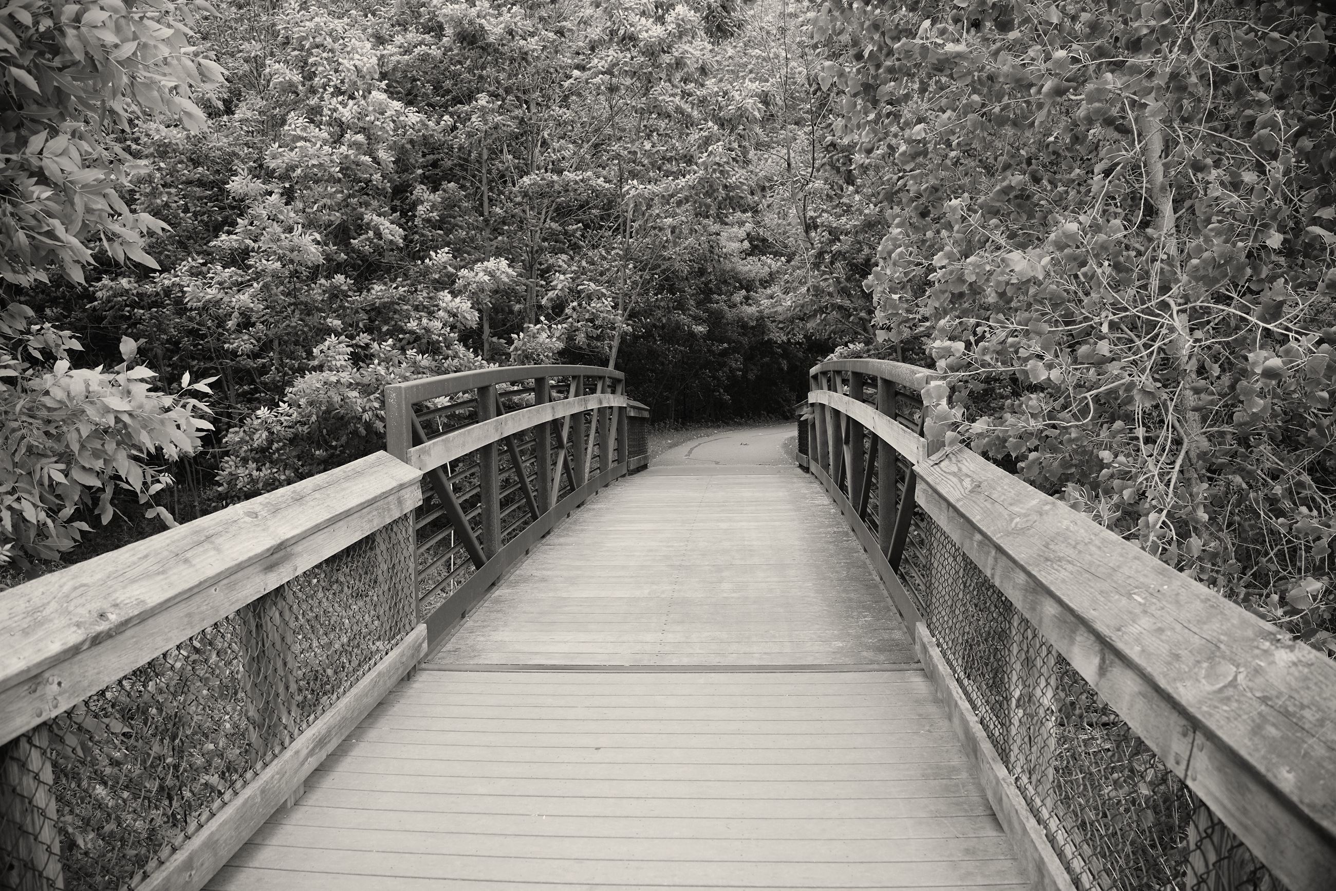 Black and white photograph of a bridge at Corners Park, connecting the path through the wooded area