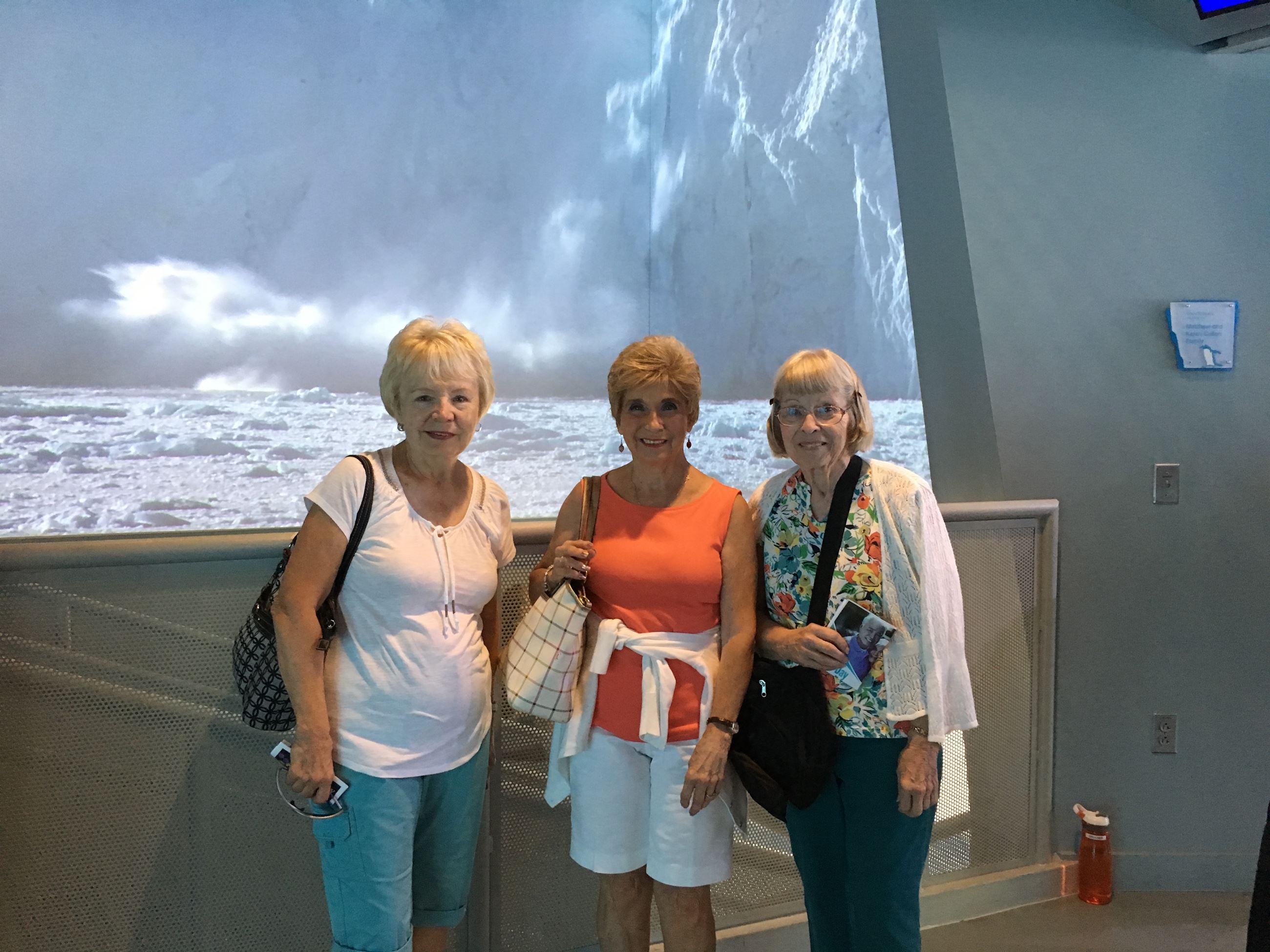 Three seniors smiling in front of the Detroit Zoo Penguin Exhibit. 