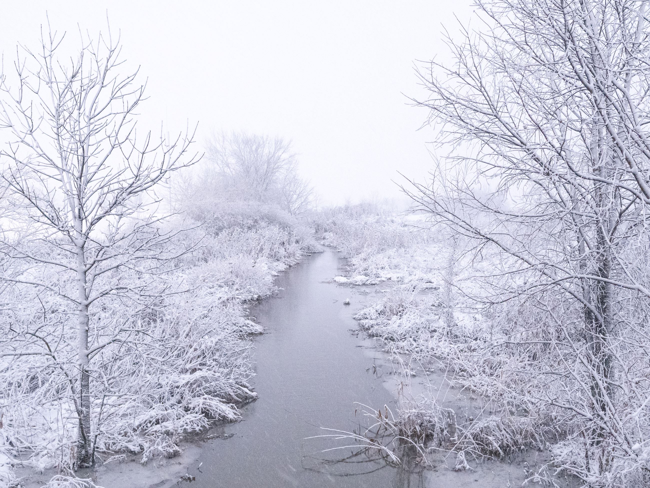 Stream from the McBride drain near Town Center flowing through snow covered trees in a blizzard. 